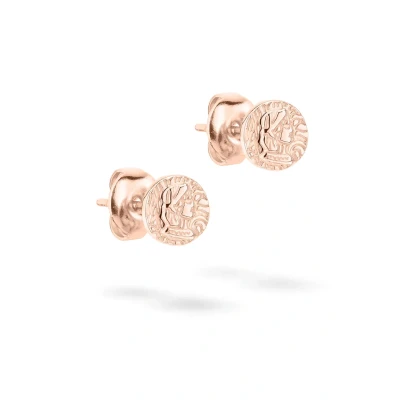 Abbildung von Tamaris Ohrringe Rose goldcoloured, Damen, Größe: One Size, gold coloured