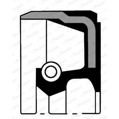 Abbildung von PAYEN NJ951 Kurbelwellendichtring Silikon ALFA ROMEO: Spider, 164, 155