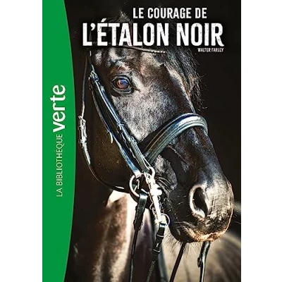 Abbildung von l&#039;Etalon noir NED 13 Le courage de