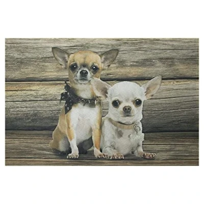 Abbildung von Mars &amp; More waschbare Fußmatte, Küchenmatte, Fußabtreter Hund, Chihuahua 70 x 50 cm