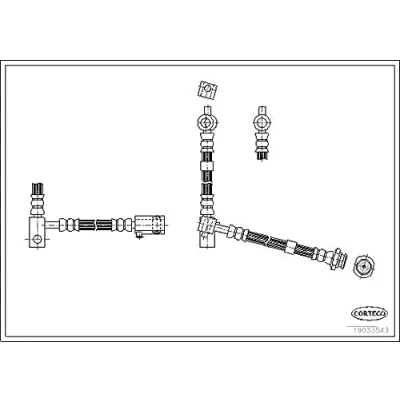 Abbildung von CORTECO 19033543 Bremsschläuche Vorderachse rechts 272 NISSAN: Primera Limousine