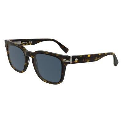 Abbildung von Lacoste Herren L6065S 230 Gläser SONNENBRILLEN Acetat Havanna Blau Quadratisch Normal