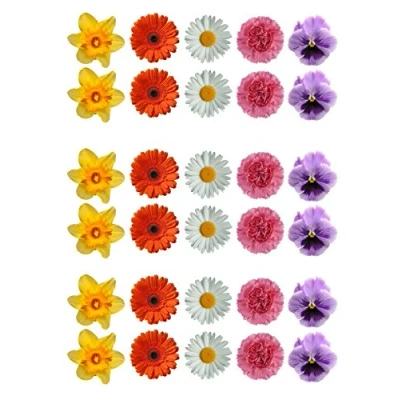 Abbildung von 30 Gorgeous Mixed Spring Flower Selection Edible Wafer Paper Cake Toppers Decorations Daffodil Daisy Gerbera Pansy by Top That