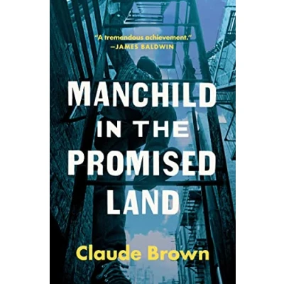 Abbildung von Manchild in the Promised Land