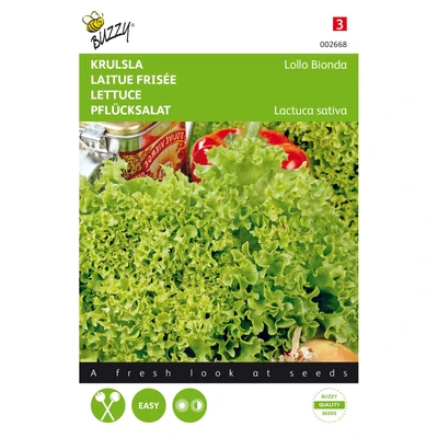 Abbildung von Krauskopfsalat Lollo Bionda Samen Buzzy