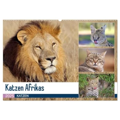 Abbildung von Katzen Afrikas (Wandkalender 2025 DIN A2 quer), CALVENDO Monatskalender
