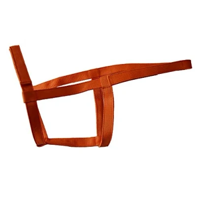 Abbildung von Rhinegold Halfter, metallfrei, 0, Tangerine, Shetland