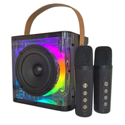 Abbildung von Karaoke Maschine, Anlage mit 2 Mikrofonen, Lautsprecher Mikrofon, PA System für Heimparty, Sitzung, Hochzeit, Picknick, Kirche, Gifit