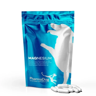 Abbildung von Magnesium Hund 100 Tablets