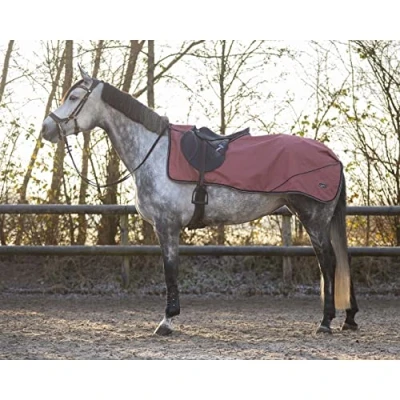 Abbildung von QHP FW&#039;22 Uitrijdeken turnout collection fleece