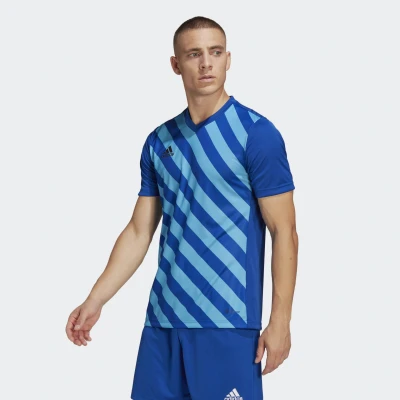 Abbildung von adidas Performance Entrada 22 GFX FußballTrikot, Herren, Größe: Small, Team royal blue/app sky rush