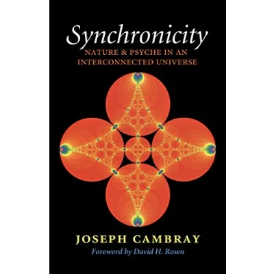 Abbildung von Synchronicity: Nature and Psyche in an Interconnected Universe Volume 15 (Carolyn Ernest Fay Series Analytical Psychology, Band 15)