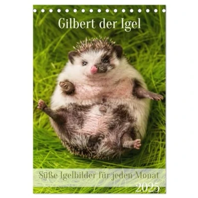 Abbildung von Gilbert der Igel (Tischkalender 2025 DIN A5 hoch), CALVENDO Monatskalender