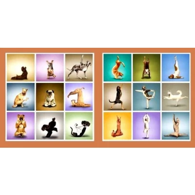Abbildung von Geschenkestadl 2 er Set Wandbilder Hunde Motive Yoga Gymnastik Spass Bild je 50 cm x