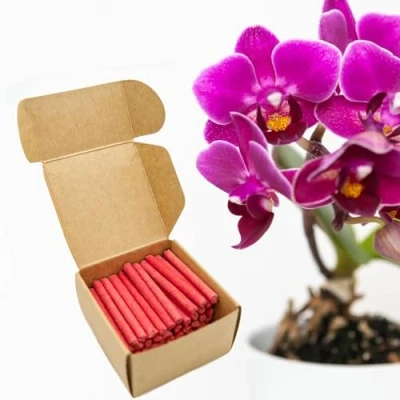 Abbildung von floraline® 150x Orchideen Düngestäbchen Orchideendünger für bis zu 100 Tage prächtige Blumen mit Wachstum und gesunden Blüten pro Stäbchen Schonende Anwendung ihre Orchidee