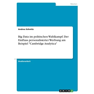 Abbildung von Big Data im politischen Wahlkampf. Der Einfluss personalisierter Werbung am Beispiel &quot;Cambridge Analytica&quot;