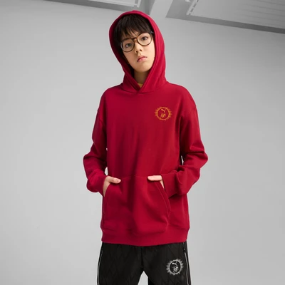 Abbildung von Puma Harry Potter Graphic Kapuzenpullover für Kinder, Größe: 140, Dark crimson