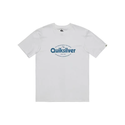 Abbildung von Quiksilver Shape ALL DAY Tshirt print, Herren, Größe: Large, Wbb