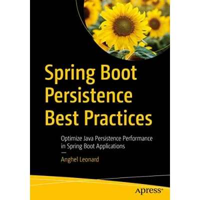 Abbildung von Spring Boot Persistence Best Practices: Optimize Java Performance in Applications