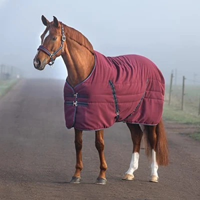 Abbildung von Rambo Stable Lite 100gr