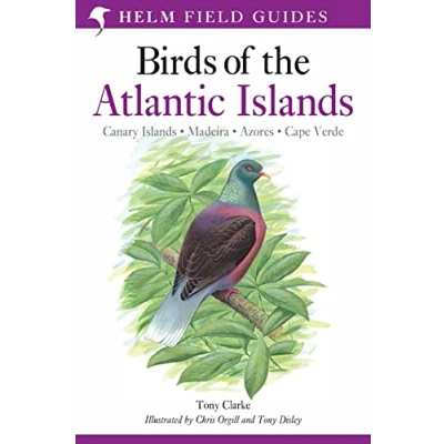 Abbildung von A Field Guide to the Birds of Atlantic Islands: Canary Islands, Madeira, Azores, Cape Verde (Helm Guides)
