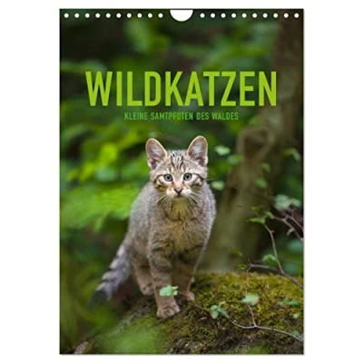 Abbildung von Wildkatzen Kleine Samtpfoten des Waldes (Wandkalender 2025 DIN A4 hoch), CALVENDO Monatskalender