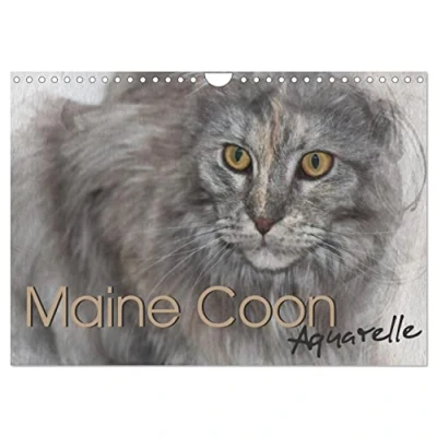 Abbildung von Maine Coon Aquarelle (Wandkalender 2025 DIN A4 quer), CALVENDO Monatskalender