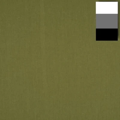 Abbildung von Walimex Stoffhintergrund 2,85 x 6m kaktus