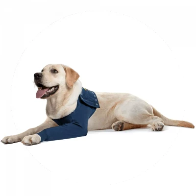 Abbildung von Medical Pet Shirt Vorderfuß TAZ Hund Blau XL