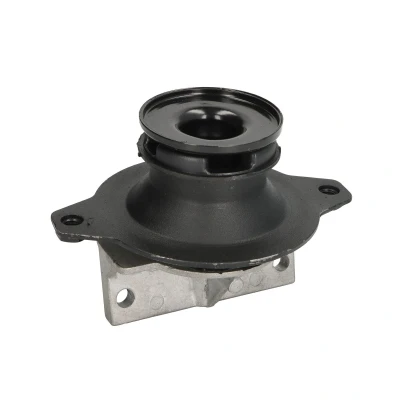 Abbildung von Lagerung, Motor SASIC 2706227