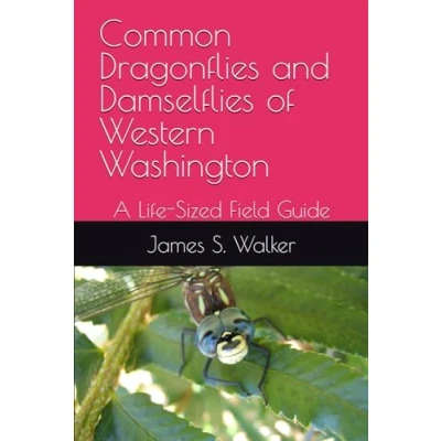 Abbildung von Common Dragonflies and Damselflies of Western Washington: A Life Sized Field Guide