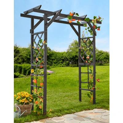 Abbildung von promadino Rosenbogen &quot;Pergola Ben&quot;, BxTxH: 200x65x208 cm, anthrazit