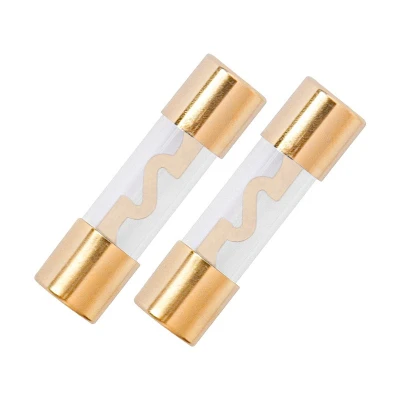 Abbildung von 2 Stück AGU Sicherungen 40A Glasrohr Gold Überzogen Auto Power Schutz Linie Tube Audio
