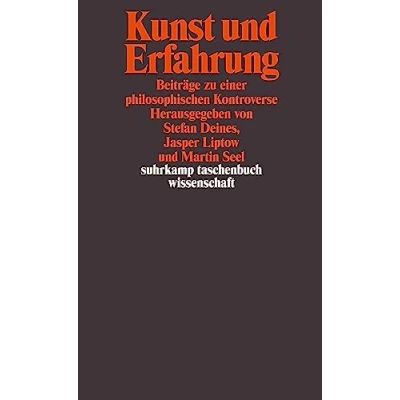 Abbildung von Kunst und Erfahrung: Beiträge zu einer philosophischen Kontroverse (suhrkamp taschenbuch wissenschaft)