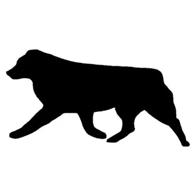 Abbildung von SUIFENG Autoaufkleber 16.5X8.8Cm Australian Shepherd Dog Auto Aufkleber Silhouette Vinyl Styling Truck Dekoration Schwarz/Silber