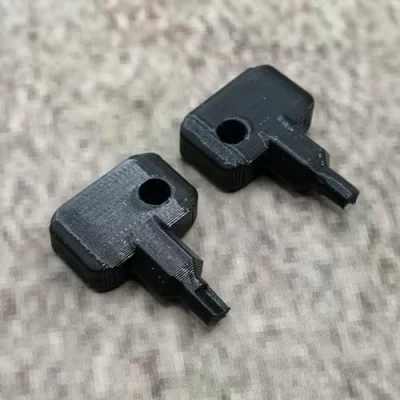 Abbildung von ULEIVA Ersatz Schlüssel 2X Schwarz kompatibel mit Synology NAS Drive Bay Key Lock Ersatzschlüssel zu Typ D5 D6 D8 D9 R6 X9 R8 DS181 (Schwarz)