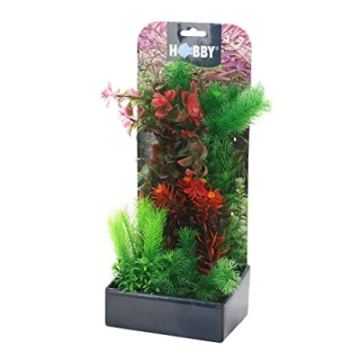 Abbildung von Dohse Plantasy set 3