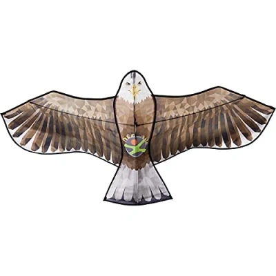 Abbildung von HABA Terra Kinderdrachen Eagle 306016