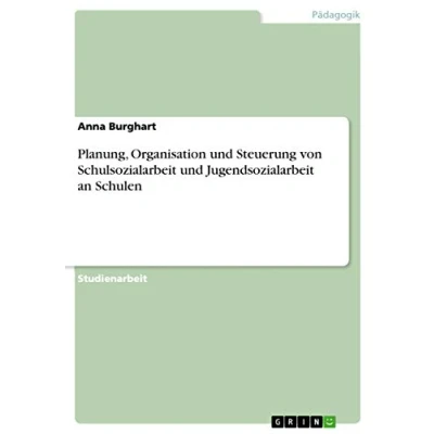 Abbildung von Planung, Organisation und Steuerung von Schulsozialarbeit Jugendsozialarbeit an Schulen