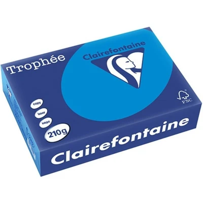 Abbildung von 4 x Clairefontaine Kopierpapier Trophee A4 210g/qm VE=250 Blatt karibi