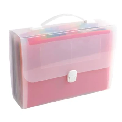 Abbildung von Exacompta 55698E Premium Kunststoff Fächermappe Crystal mit Tragegriff und Clipverschluss für DIN A4 24 vollfarbige Fächer 2 Etikettenhalter Visitenkarten inklusive Etikettenbögen transparent