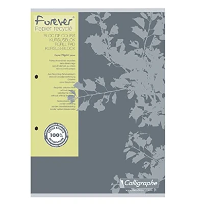 Abbildung von Clairefontaine 17815C Packung mit 5 Kursusblöcken Forever DIN A4 100 Blatt 70g, 2 fach gelocht, mikroperforiert, kariert Rand, farbig sortiert, 1 Pack