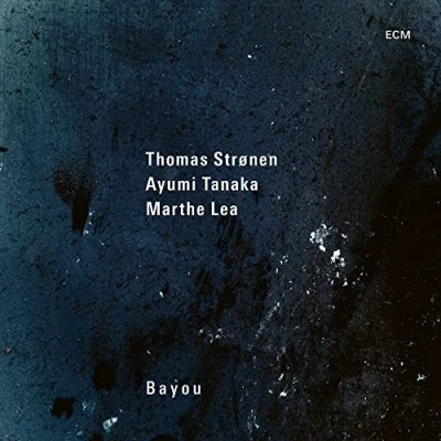 Abbildung von Bayou