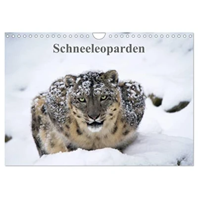 Abbildung von Schneeleoparden (Wandkalender 2025 DIN A4 quer), CALVENDO Monatskalender