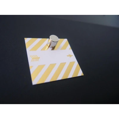 Abbildung von MAUL Magnete Ø 1,0 x silber