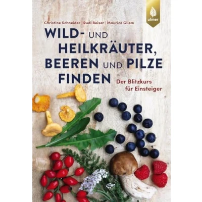 Abbildung von Wild und Heilkräuter, Beeren Pilze finden: Der Blitzkurs für Einsteiger