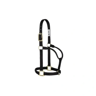 Abbildung von Weaver Leather Original Nylon Pferdehalfter Nicht verstellbar schwarz Jearling