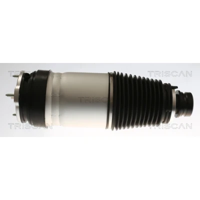 Abbildung von TRISCAN 8720 81101 Luftfeder, Fahrwerk TESLA: Model S (5YJS) Plaid AWD, P90D 60D 70D 75, 75D 100D EV 90, 85, 60