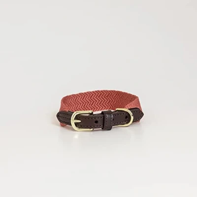 Abbildung von Kentucky Hundehalsband JacquardVerkauft von HypoStore