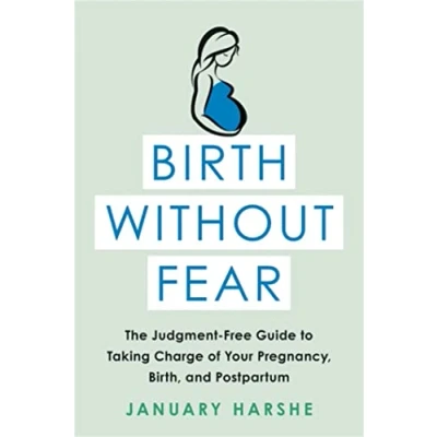 Abbildung von Birth Without Fear: The Judgment Free Guide to Taking Charge of Your Pregnancy, Birth, and Postpartum